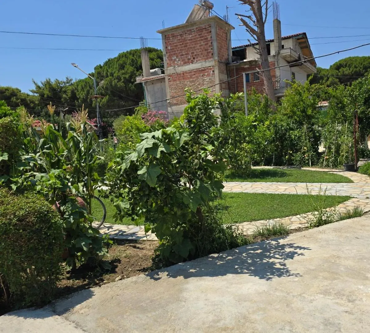 Triad Vlorë Albanien