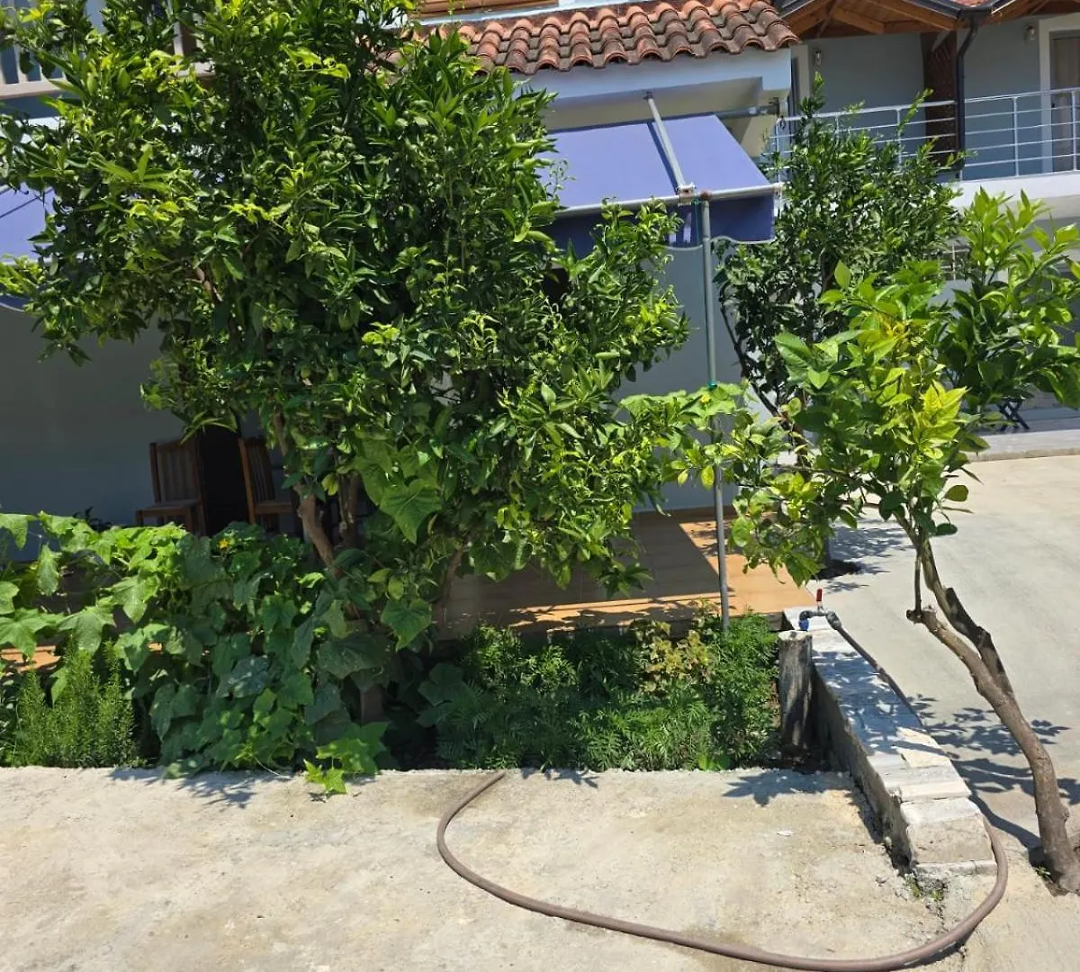Triad Vlorë Jaktstuga